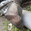 Каталізатор а5 2.0 TDI   1K0131680AK