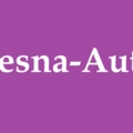 5519  Vesna-Auto 459