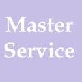 5823  MasterService 491