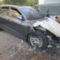 42041 Audi Q8 4M (2018-до тепер) 3 Дизель  DHXA Автомат SKV LZ7S