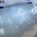 Капот  Peugeot 307 (2001-2008) 7901L9