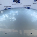 Капот  Peugeot 307 (2001-2008) 7901L9