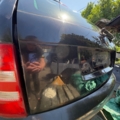 Кришка багажника Універсал Skoda Fabia I (1999-2007) 6Y9827025