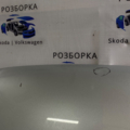 Капот Toyota  Toyota RAV4 XA20 (2000-2005) 5330142030