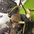 обігрівач автономний Volkswagen  7E0815071C