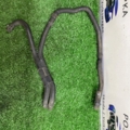 Патрубок  Volkswagen Caddy III (2004-2015) 1T0122447T