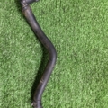 Вакуумний клапан Volkswagen Caddy III (2004-2015) 1T0133366D