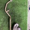Клапан egr Volkswagen Golf IV (1997-2006) 036131503M