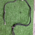 Проводка   Volkswagen Golf IV (1997-2006) 1K0571349K