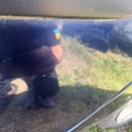 З.л двері Golf5 Volkswagen Golf V (2003-2009)