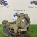 Цапфа передня права Volkswagen Passat B6 (2005-2010)