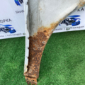 Крило переднє праве  Volkswagen Passat B6 (2005-2010) 3C0821021