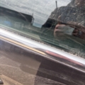 Моддин хромзадній правий б6 Volkswagen Passat B6 (2005-2010) 3C9839475D