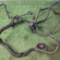 Моторна проводка  Volkswagen Passat B6 (2005-2010) 03G971604AT