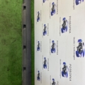 Накладка порога ліва молдинг Volkswagen Passat B6 (2005-2010) 3C0853855B