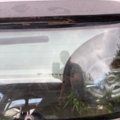 Скло в ляду  Volkswagen Passat B6 (2005-2010) 3C9845051P