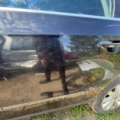 Задні лівадверка б6 універсал. Volkswagen Passat B6 (2005-2010) 3C9833055D