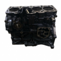 Блок двигуна bmp b6 2.0 tdi Volkswagen Passat B6 03G021L