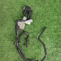Клапан соленоїд керування заслонкою вторинного повітря Volkswagen PASSAT B6 1K0906283A