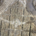 Шумоізоляція капота vw passat b6 Volkswagen Passat B6 3C0863835A