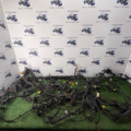 Проводка по авто Passat b7 2.0 tdi  Volkswagen Passat B7 (2010-2015) 3AA971051B