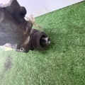 Рульова рейка Volkswagen Touareg I (2002-2010) 7L6422063B