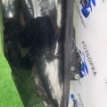 Крило переднє праве  Volkswagen Touran I (2003-2010) 1T0821216C