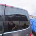 Задня права дверка гола з склом розпашонка Т5 Volkswagen Transporter T5 (2003-2015) 7H0827092AP